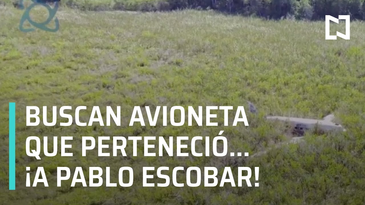 Buscan avioneta perdida de Pablo Escobar en Celestún, Yucatán - Las Noticias