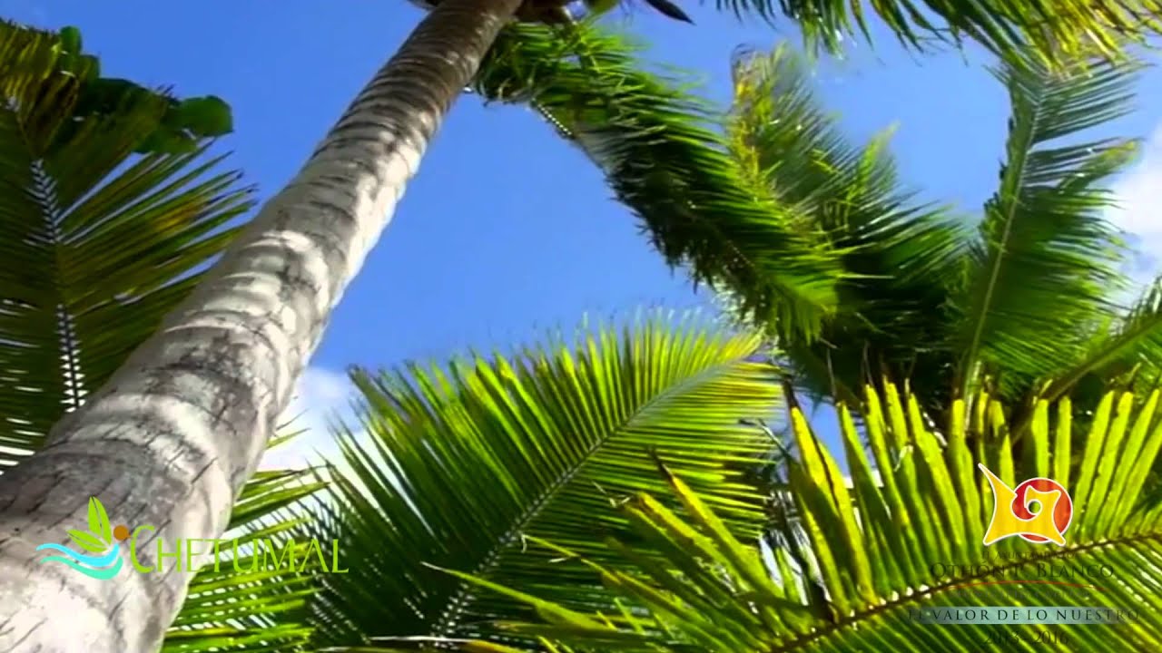 CHETUMAL EN DONDE EMPIEZA MÉXICO
