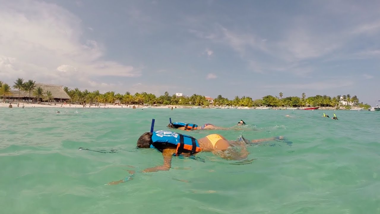 Nadando con Tortugas, Akumal.