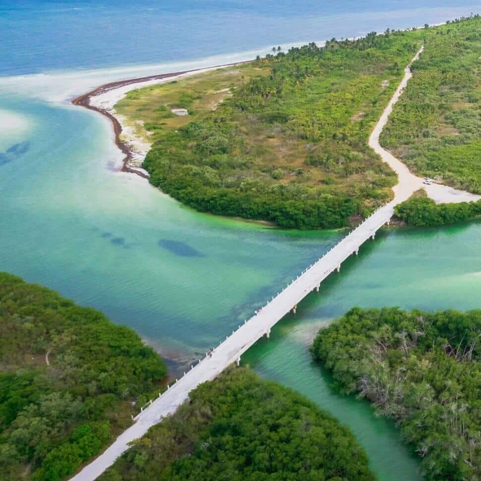 Cómo llegar a Punta Allen