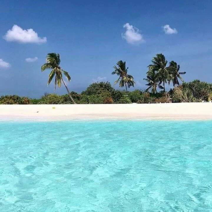Blanquizal