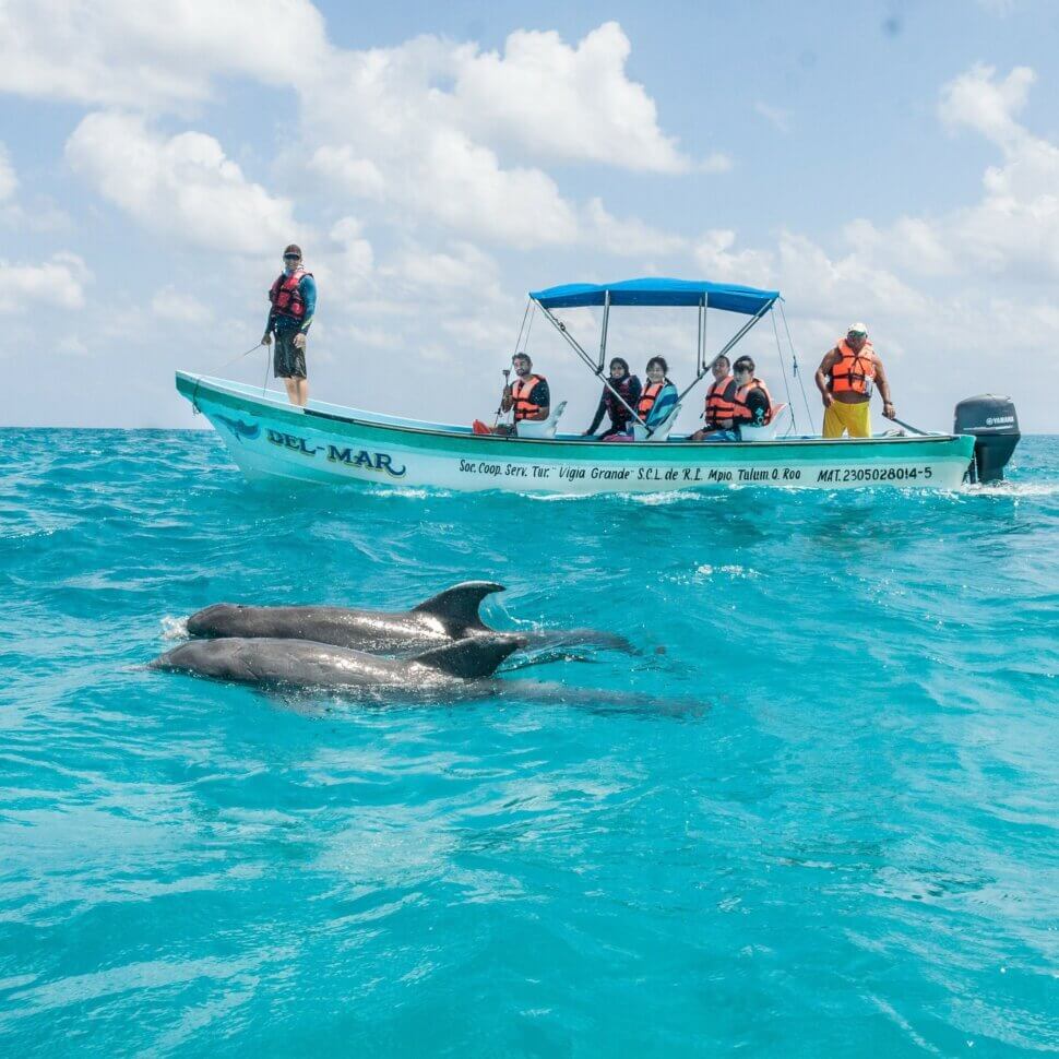 Que hacer en Punta Allen