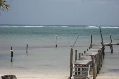 B4WofKzd cNvq5ecM Destacada 13 Cómo Llegar de Chetumal a Mahahual