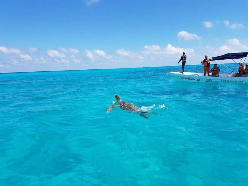 IMG 7313 PUNTA ALLEN (2025): Como llegar, qué hacer, consejos y más