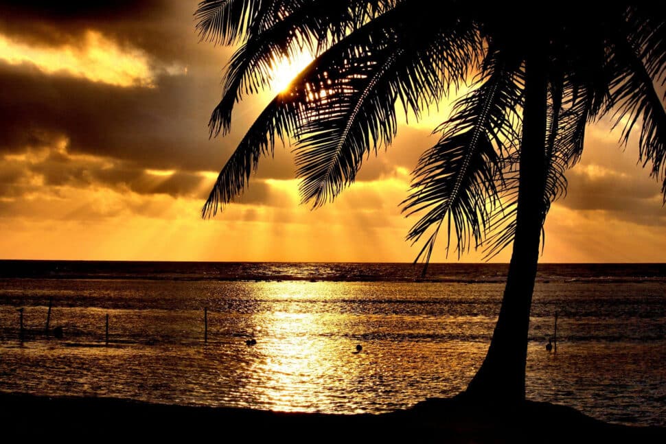 1o295Qiz cxp5i3SW Mahahual atardecer Cómo Llegar de Mahahual a Chetumal