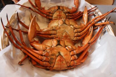 Lo mejor de la gastronomía de Quintana Roo