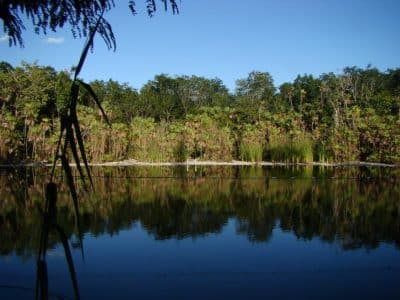 cenote las mojarras