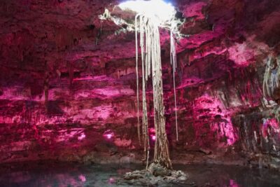 8419955520 8a3f8c06b3 k Descubre el Cenote XKeken en Valladolid