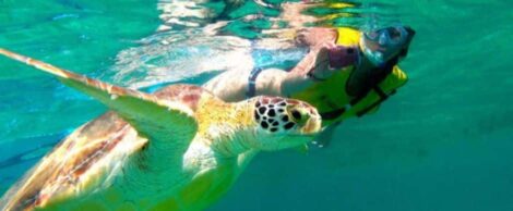 nado con tortugas