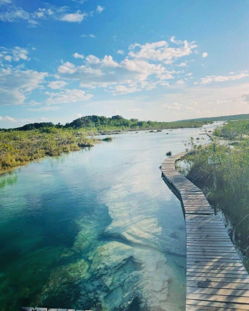 rapidos de bacalar foto