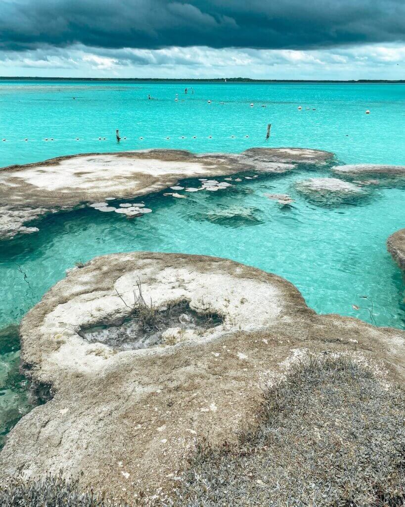 Cocalitos Bacalar: Cómo llegar, qué hacer, cenote, precios y más 285427844 542822553961511 5108350449769294868 n Cocalitos Bacalar: Cómo llegar, qué hacer, cenote, precios y más