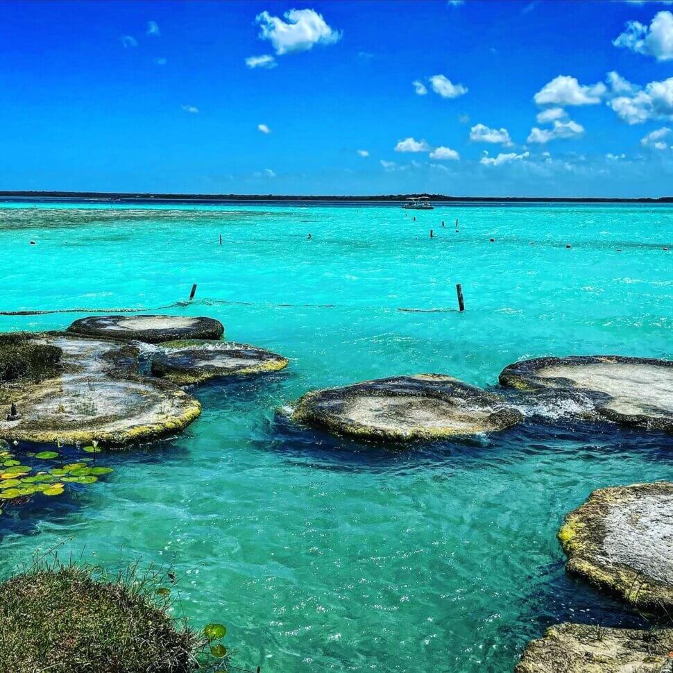 Cocalitos Bacalar: Cómo llegar, qué hacer, cenote, precios y más 312381969 647027473472858 917182063798862939 n Cocalitos Bacalar: Cómo llegar, qué hacer, cenote, precios y más