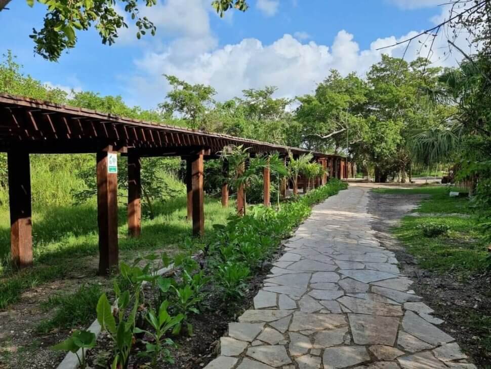 306084123 1466039843898382 567757066507166962 n ECOPARQUE BACALAR: Qué hacer, ubicación, consejos, muelle y más