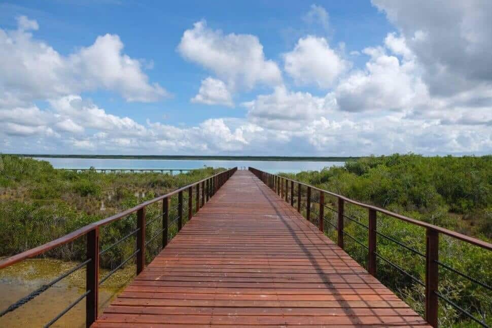 324731487 1878053759209538 8490487530749660114 n ECOPARQUE BACALAR: Qué hacer, ubicación, consejos, muelle y más