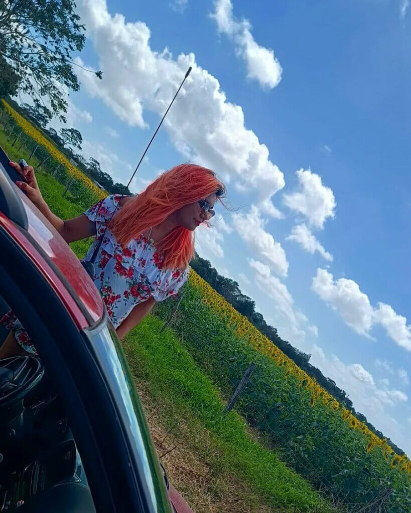 332787845 1365992800891822 3000646548980969268 n Campo de Girasoles en Bacalar: Cómo llegar, Qué hacer y más