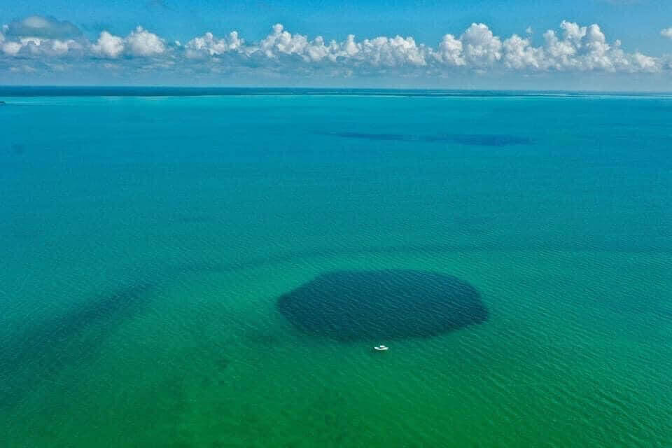 Agujero Azul Taam Ja' en Chetumal (2025): guía completa, cómo llegar y recomendaciones Gallery Image
