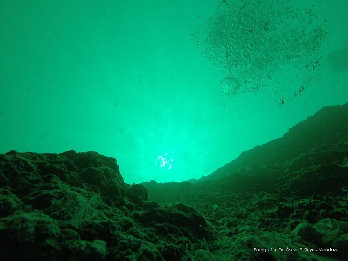 Agujero Azul Taam Ja' en Chetumal (2025): guía completa, cómo llegar y recomendaciones Gallery Image