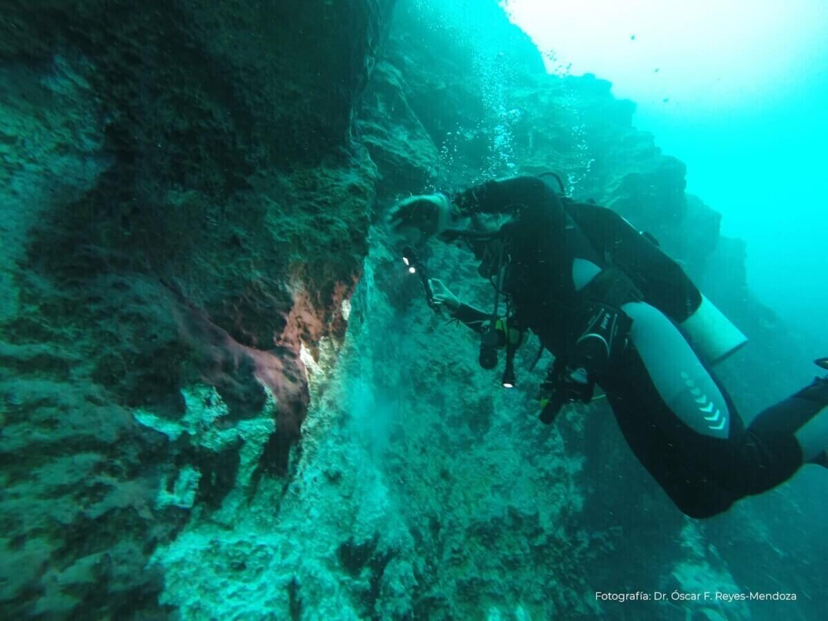 Agujero Azul Taam Ja' en Chetumal (2025): guía completa, cómo llegar y recomendaciones Gallery Image