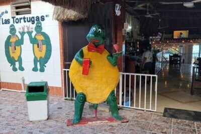 el-rincon-de-las-tortugas-chetumal-7