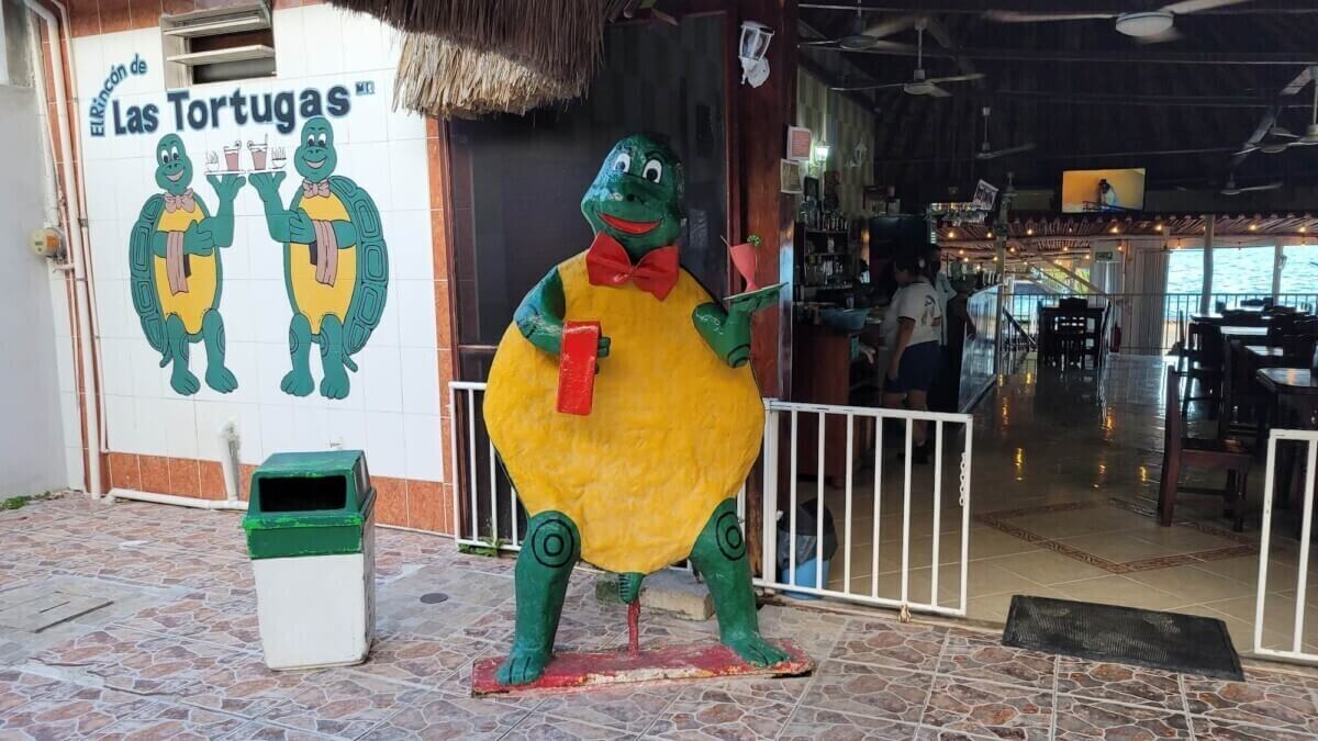 el-rincon-de-las-tortugas-chetumal-7