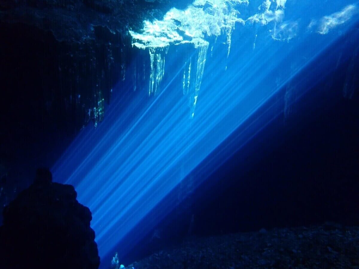 Los 10 Mejores Cenotes de Yucatán (2025): Guía con Precios, Ubicación y Consejos kankirixche cenote 2 Los 10 Mejores Cenotes de Yucatán (2025): Guía con Precios, Ubicación y Consejos