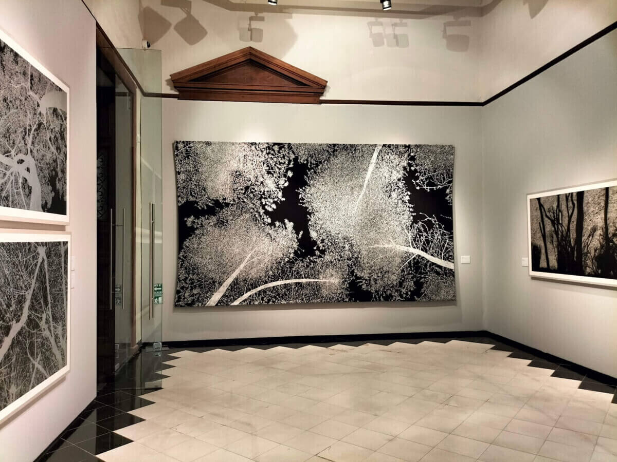 Casa Montejo Mérida (2025): guía para tu visita completa Gallery Image