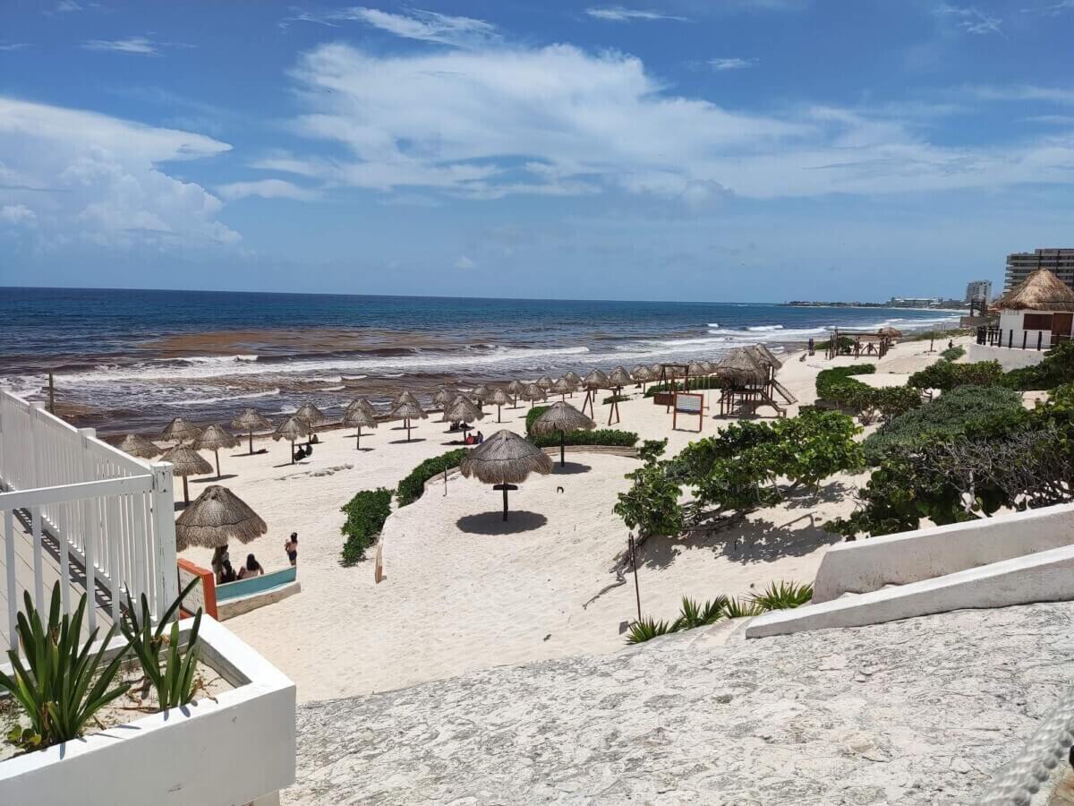 🌴 Playa Delfines Cancún (2025): Mirador, letras CANCÚN, horarios y cómo llegar sargazo playa delfines cancun 19 🌴 Playa Delfines Cancún (2025): Mirador, letras CANCÚN, horarios y cómo llegar
