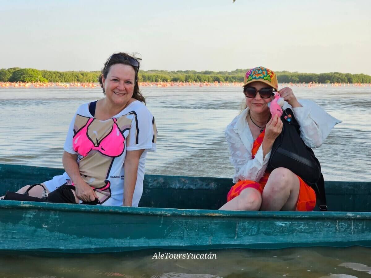 tour lancha celestun Ver flamingos en Celestún: cómo llegar, precios, mejor época y más (2026)